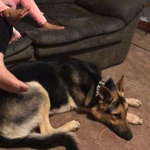 Meet your Posher, Roger